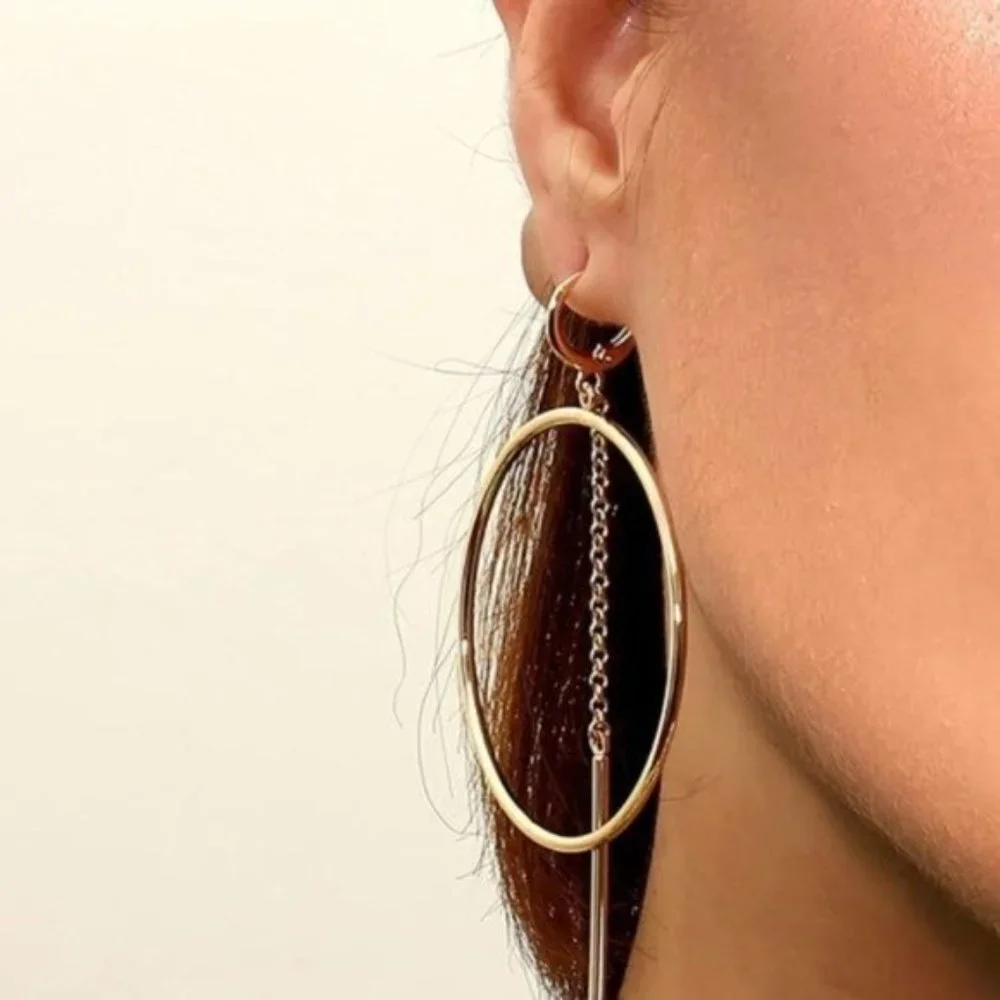 Gold Aesthetic  Earrings